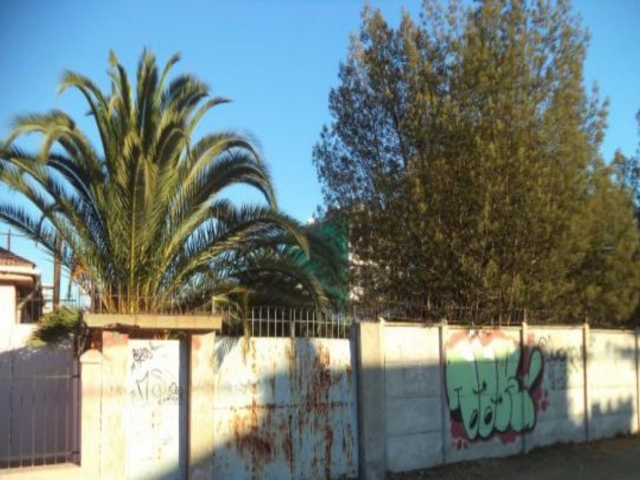 WhatsApp Image 2020-04-27 at 17.00.55.jpeg